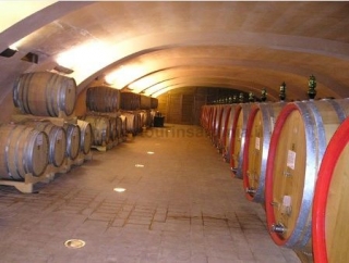  Our Barrels 